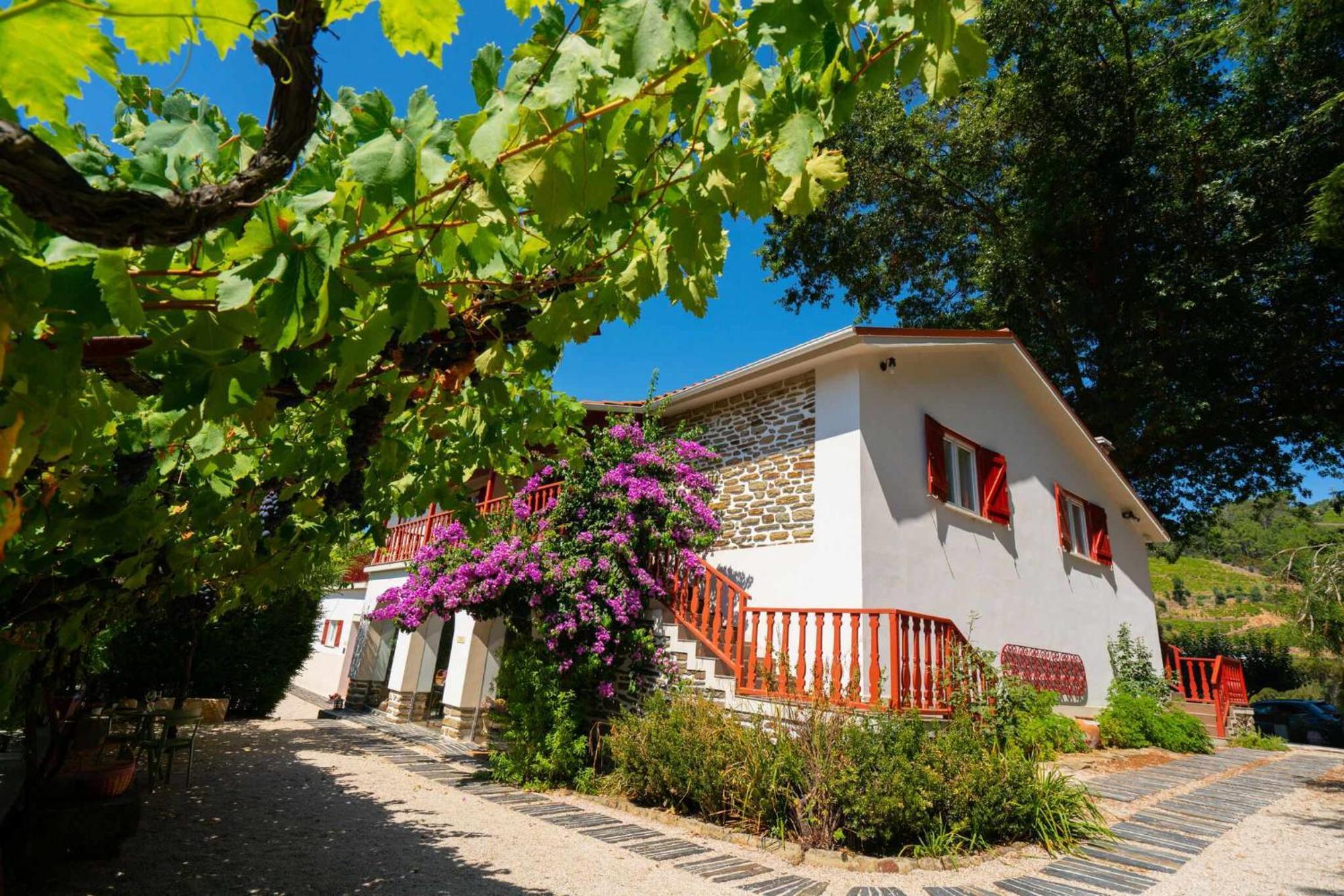 Quinta Da Pousada Casa De Campo Санта-Марта-ди-Пенагиан Экстерьер фото