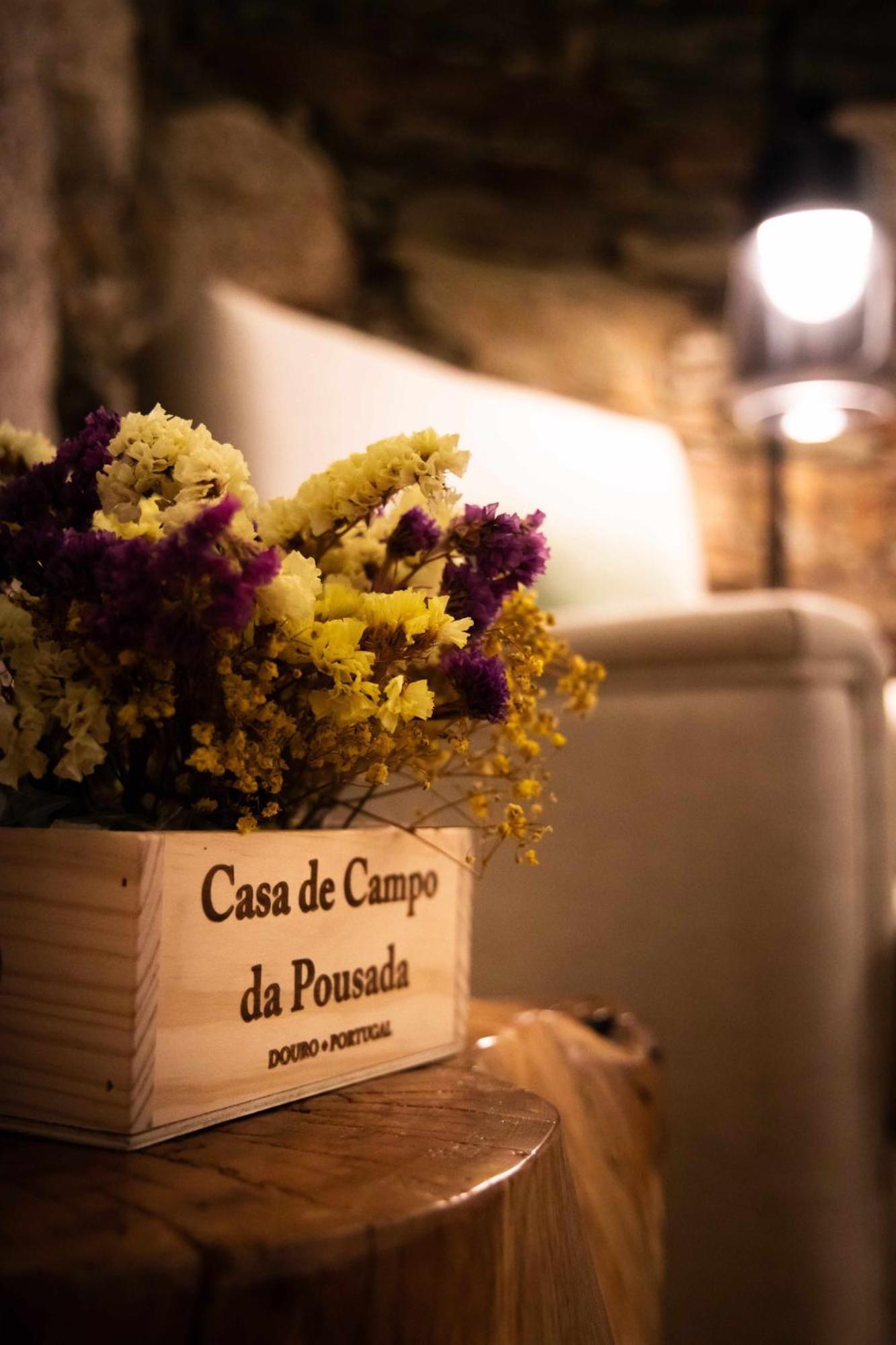 Quinta Da Pousada Casa De Campo Санта-Марта-ди-Пенагиан Экстерьер фото